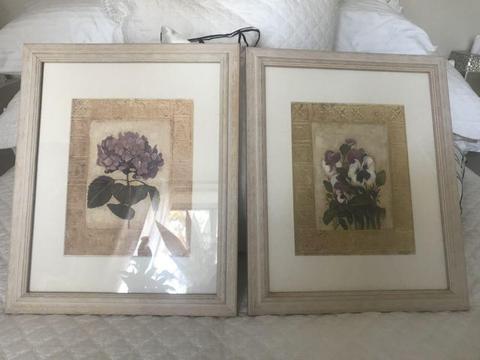 2 x Flower prints in frames