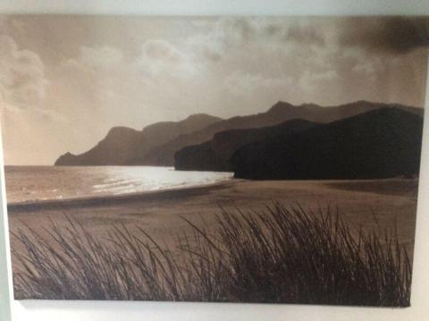 Ikea Large Canvas Of Coastal Picture