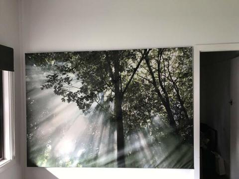 Large Ikea Canvas Of Forest