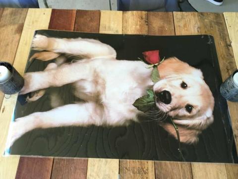 Large Laminated Puppy Poster