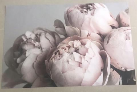 Large 60x90 print