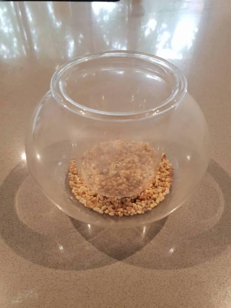 Small glass indoor pot