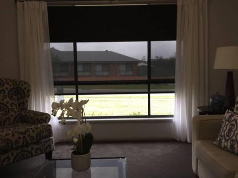 Accent Double Roller Blinds
