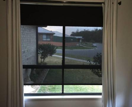 Accent Double Roller Blinds