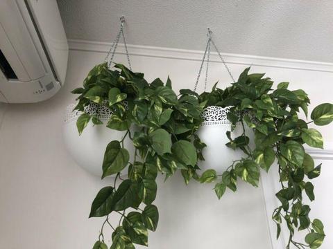 White Ikea hanging baskets - brand new - 13 available