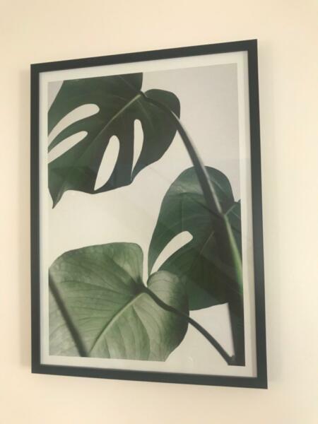Leaf Poster in Frame