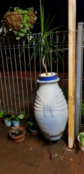 Blue terracotta pot