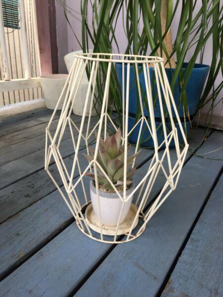 Decorative plant pot succulent wire thing