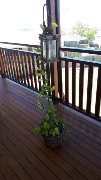 Decorative Lantern, garden or indoor plant feature