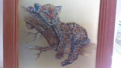 framed print of a sleeping baby leopard. size 60 x 50cm