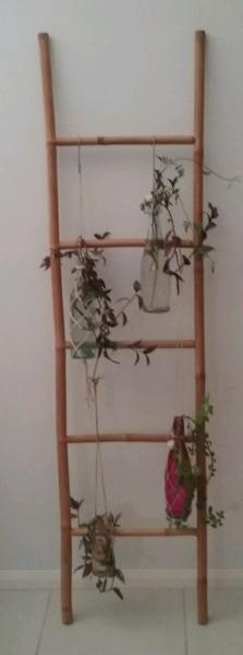 Decorative bamboo ladder with accessories $20 no offers