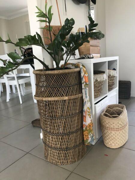 Peacock cane plant stand / side table