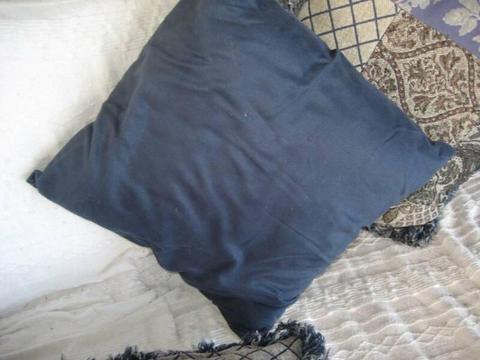 Blues Plain Style Cushions - Set of 2