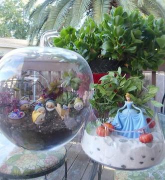 Glass Terrarium/Biscuit/Lolly Jar $30