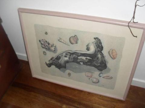 Picture gum nuts sand sea shells driftwood pink frame in VGC