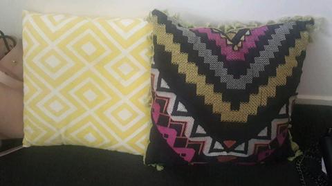 Cushions x 2