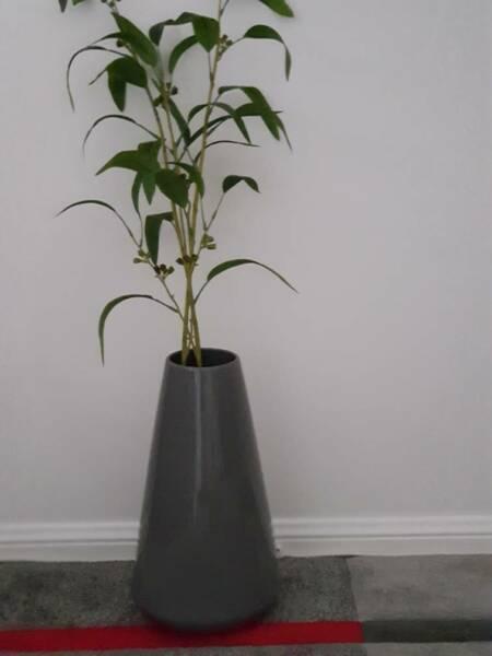 Grey Vase 35cm(Unwanted Gift)