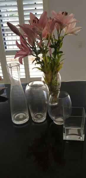 Vases ( multiple sizes)