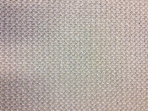 Cream/Tan Loop Pile Carpet - 2.5x3.6mt