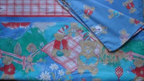 Single Bed Doona Cover ʕᵔᴥᵔʔ Teddy Bears Picnic