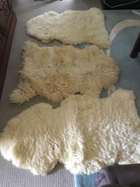 Genuine Aussie wool rugs