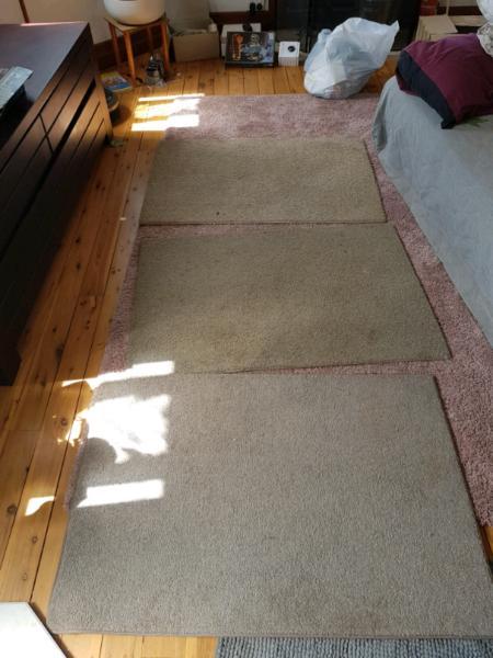 3 carpet mats