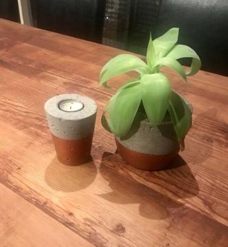 Bo&Co Copper Concrete Pot Plant with Agave Succulent & Candle Holder