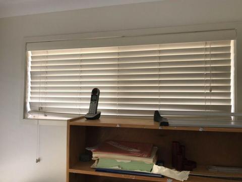Plastic Eco window blinds from 15 see prices in description