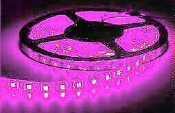 Bright Purple Decor LED Light Strips 5m - New Stocks