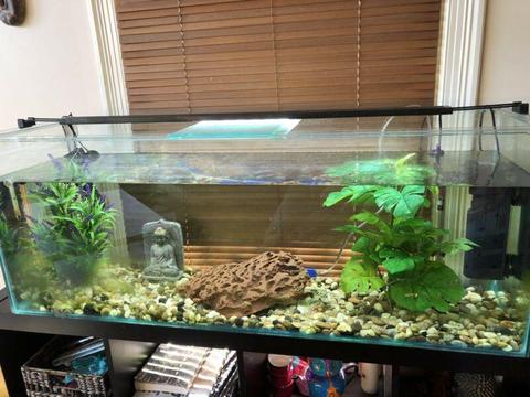 4 foot Fish / Turtle tank with equipment