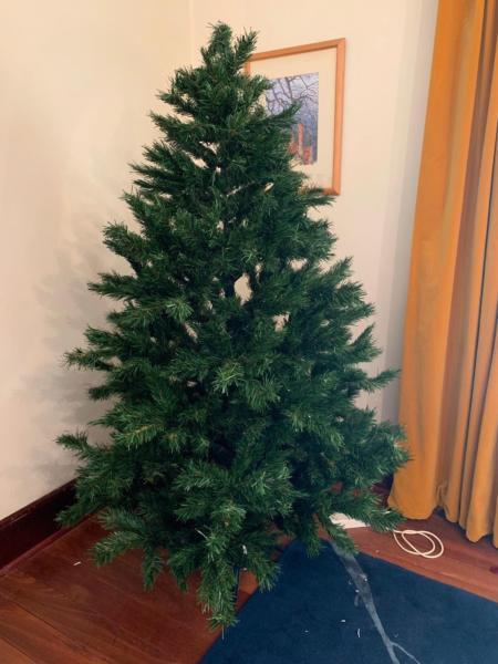 Christmas tree to give away