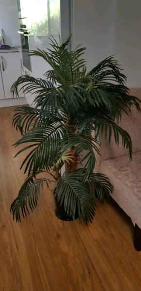 Fake pot plant palm