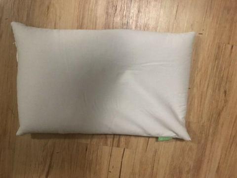 2x Buckwheat hull pillows