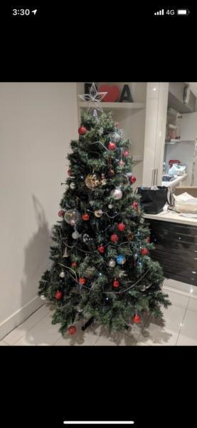 Christmas Tree 6ft 6in tall - MUST GO