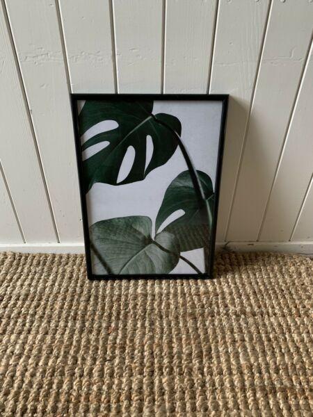 Wanted: Plant Prints