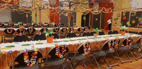 HUGE set Hawaiian Tropical Moana theme party decorations