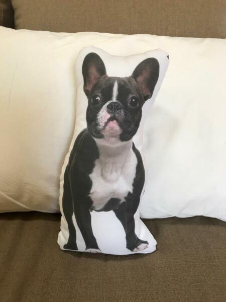 Decorative dog cushions