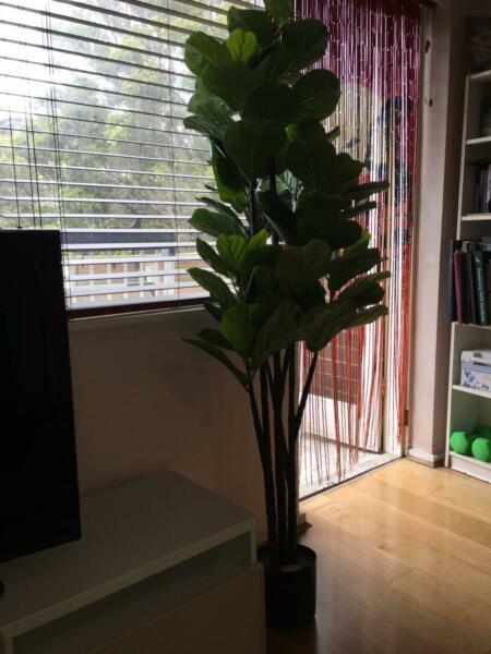 Artificial ficus tree in pot. Brand new
