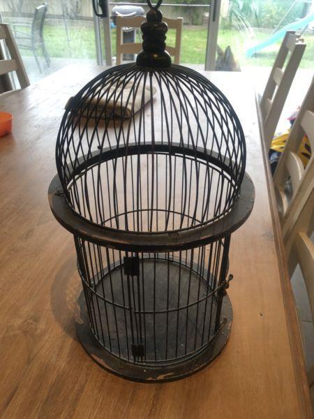 Decor bird cage