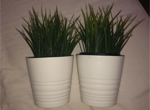 Artificial baby plants in white pots