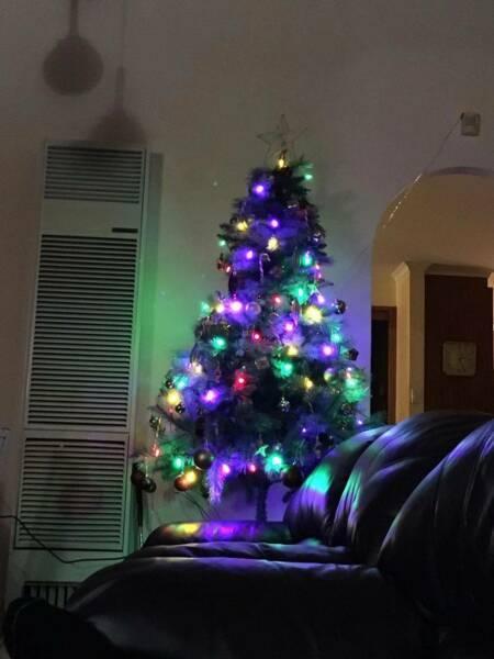 6ft christmas tree, lights, decoration, 1 month old