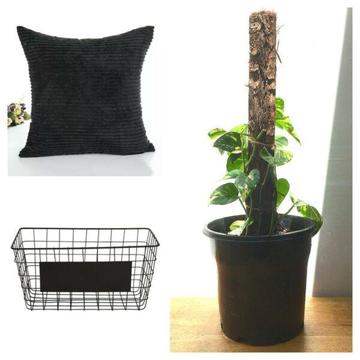 NEW & Used Home & Garden Items. Homewares Lamp Vase Pot Plants Cushion