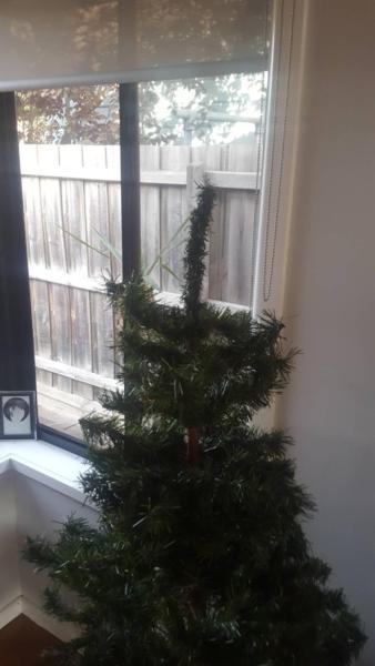 Christmas Tree - plastic - 165cm, 3 piece
