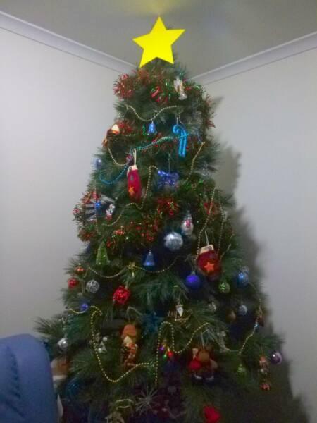 Fraser Fir 6ft Reusable Christmas Tree