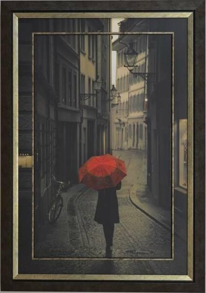 Ready To Hang Framed 'Red Rain' Image