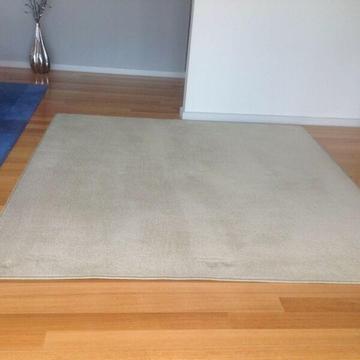 Pale green mat (just cleaned)