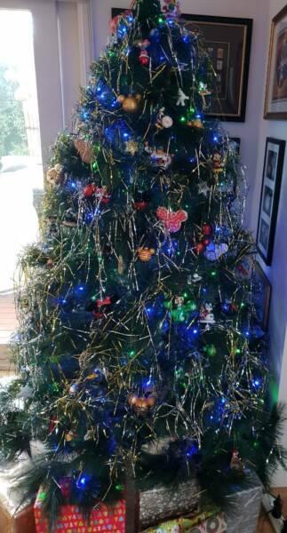 Christmas Tree - 313cm tall Frasier Fir with stand, bonus 2 sets