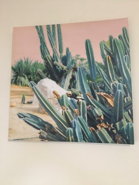 Pink cactus canvas