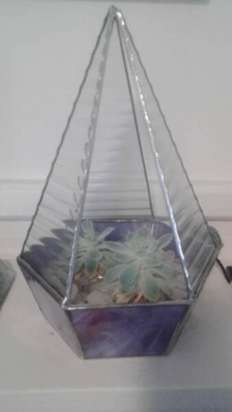 Terrariums stained glass