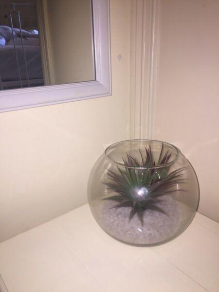 fake fern in fishbowl